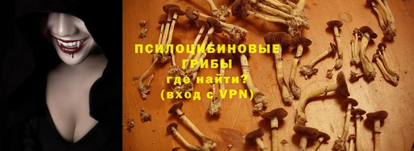меф Няндома