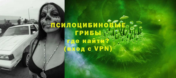 меф Няндома