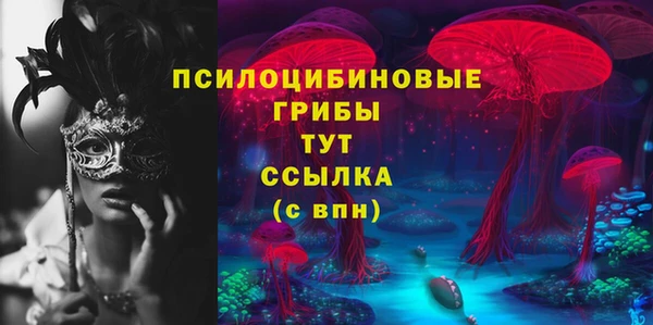 ГАЛЛЮЦИНОГЕННЫЕ ГРИБЫ Баксан